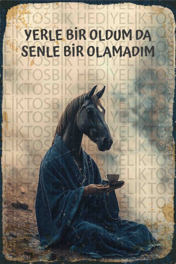 Yerle Bir Oldum da Senle Bir Olamadım