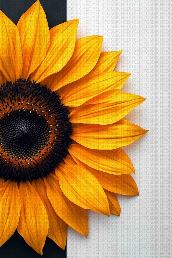 Sade Ayçiçeği – Minimalist Tarzda Ahşap Poster