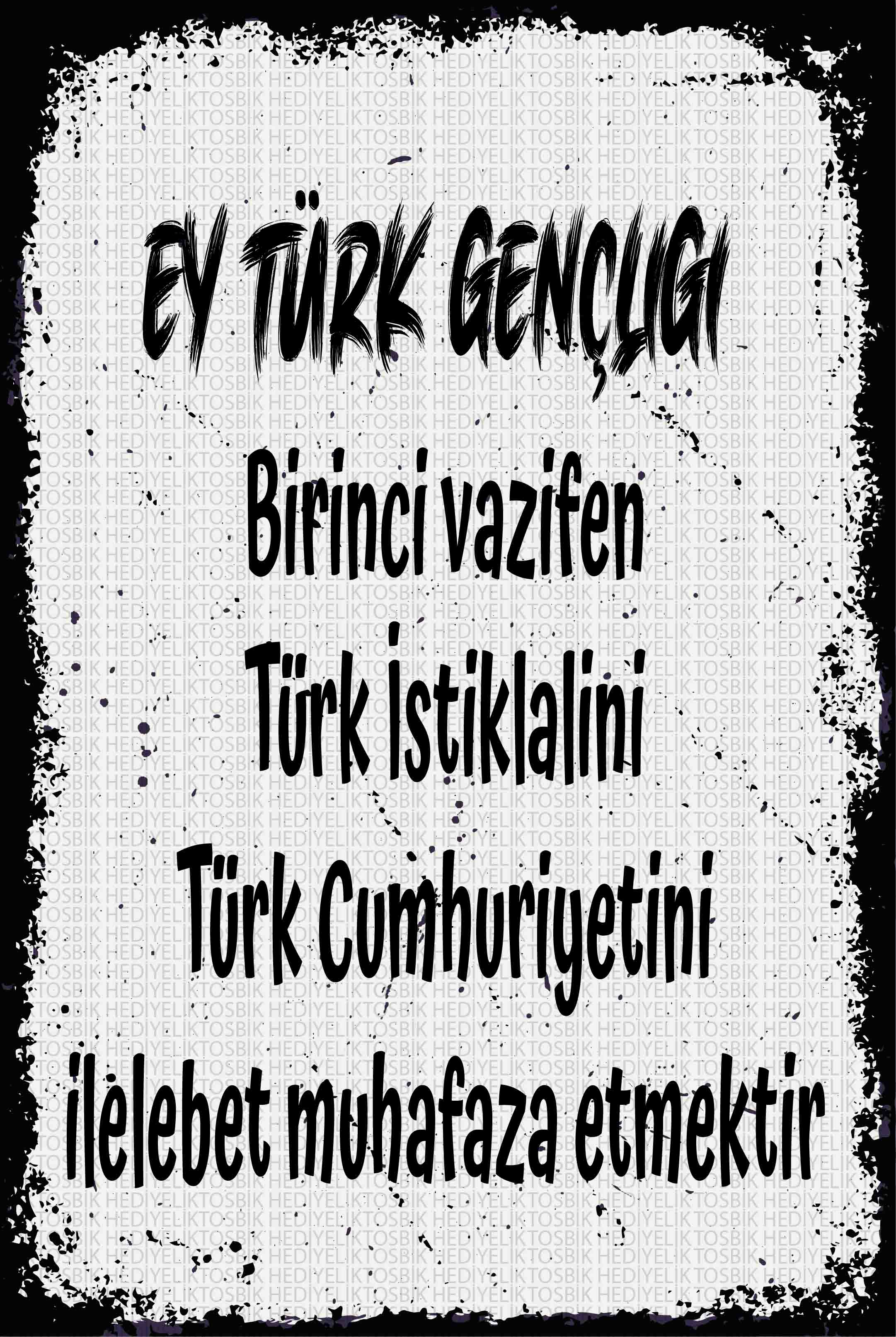 Ey Türk Gençliği