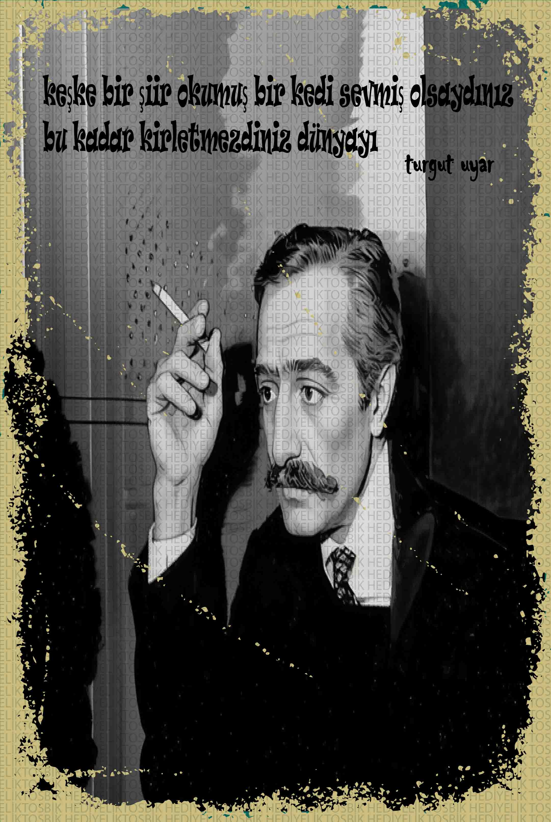 Keşke Bir Şiir Okumuş Bir Kedi Sevmiş Olsaydınız