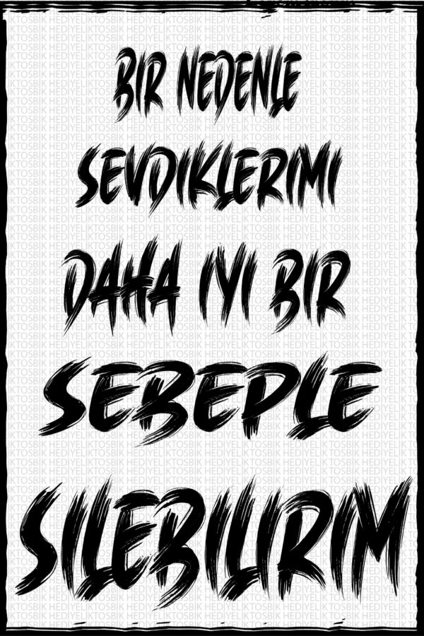Bir Sebeple Silerim
