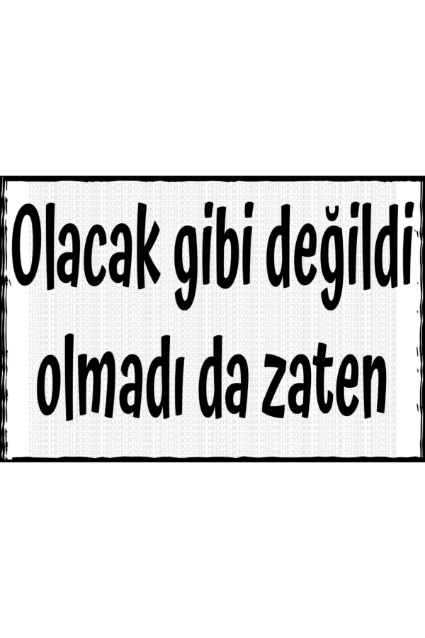 Olacak Gibi Değildi Olmadı Da Zaten
