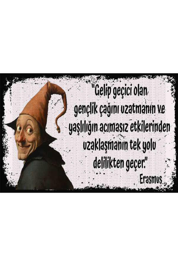 "Gelip Geçici Olan Gençlik Çağını Uzatmanın ve Yaşlılığın Acımasız Etkilerinden Uzaklaşmanın Tek Yolu Delilikten Geçer" – Erasmus