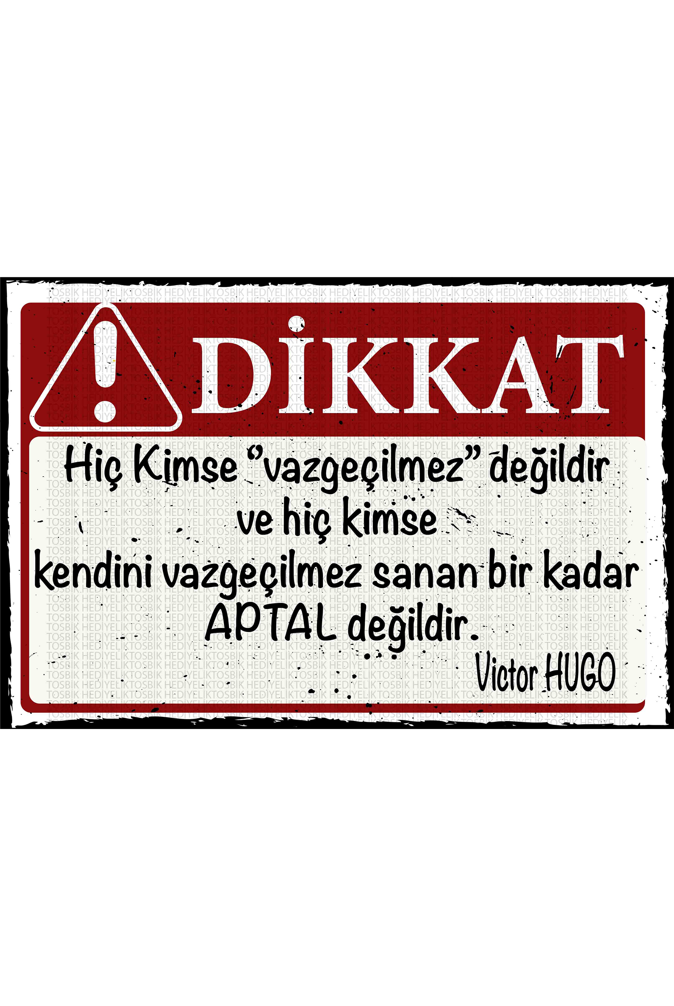 Dikkat! Kendini Vazgeçilmez Sanan Aptal Olabilir - Victor Hugo