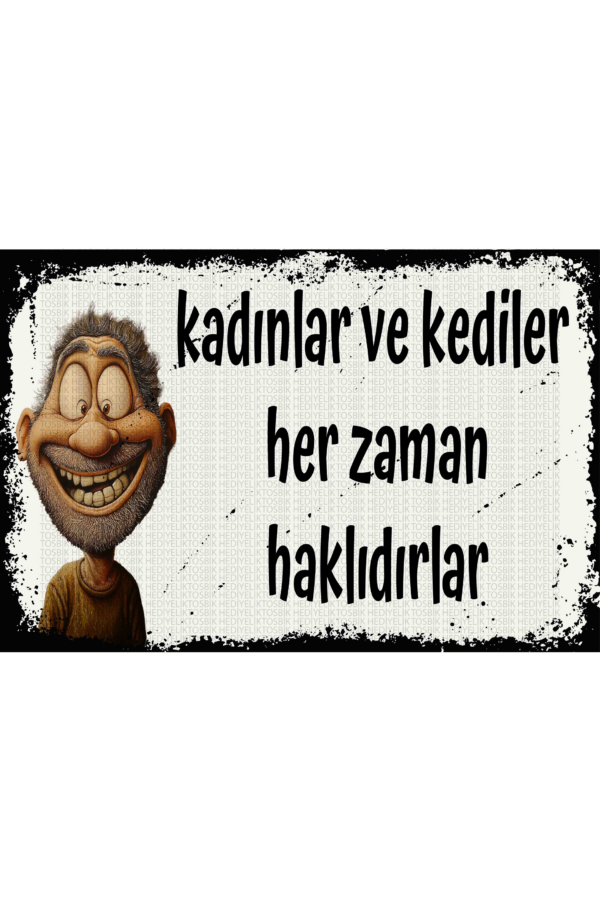 Kadınlar ve Kediler Her Zaman Haklıdırlar