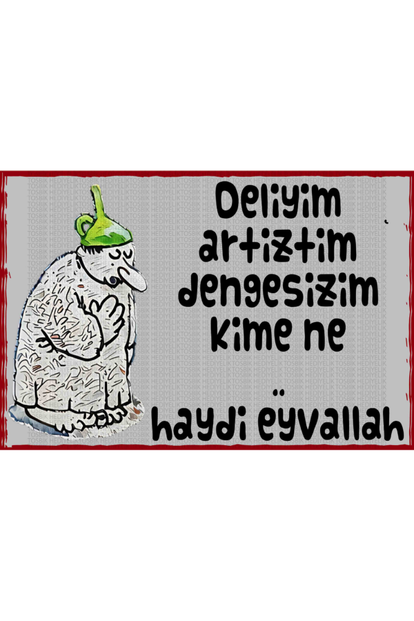 Deliyim Artiztim Dengesizim Kime Ne Haydi Eyvallah
