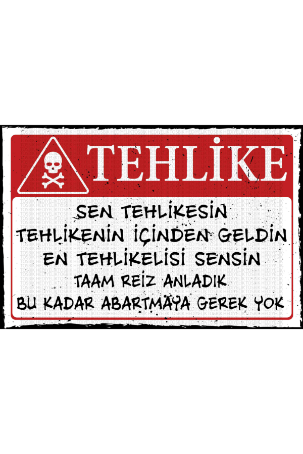 Tehlike Sen Tehlikesin